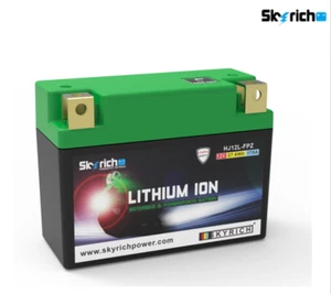 SKYRICH Akku Lithium-Ionen - HJ12L-FPZ - Bild 1 von 1