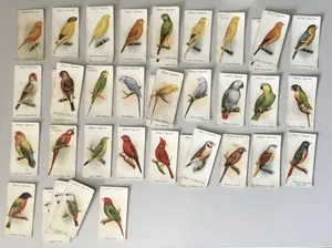 Cigarette Cards - 30 ‘Aviary and Cage Birds’ - Picture 1 of 1