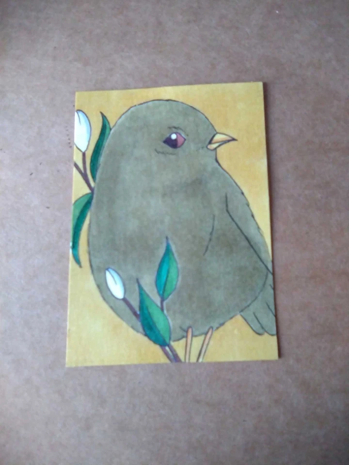 Tarjeta de arte de pintura ACEO original de medios mixtos ATC animal ojo lateral de pájaro Foto 1 de 1