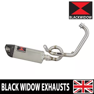 CB 125 R NEO SPORTS CAFE 2018-2020 LL Exhaust System Tri Oval Silencer SC30T - Picture 1 of 7
