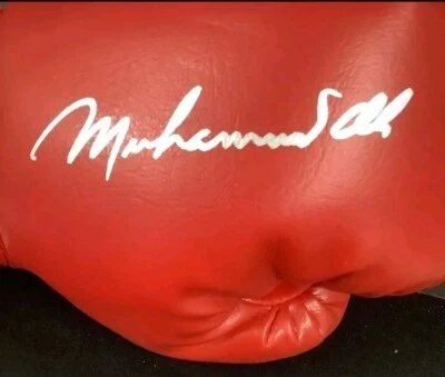 COMING SOON - Muhammad Ali Everlast Autographed  Gloves JSA Authenticated - Image 1 of 4