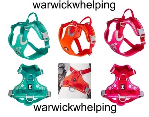 Hurtta Dog Weekend Warrior Harness Fully Adjustable fits large French Bulldog* - Picture 1 of 16