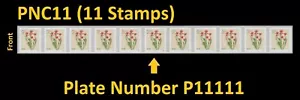 US 5905 Flowers Red Tulips 5c PNC11 P11111 MNH 2024 - Picture 1 of 1