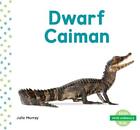 Julie Murray Mini Animals: Dwarf Caiman (Paperback)
