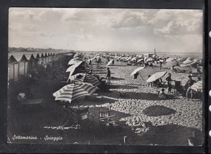 Cartolina Sottomarina Spiaggia ANIMATA E358 - Picture 1 of 1