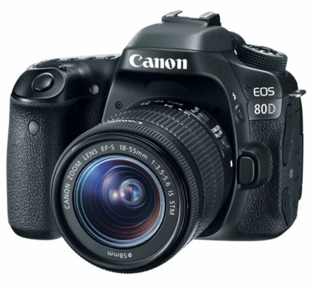 Canon EOS 80D 24.2MP Digital SLR Camera Kit - Black (1263C005)