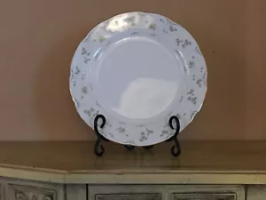 Plato de Cena de Reemplazo China Premiere Blanco con Diseño Floral Briarwood Patt ME 212 - Imagen 1 de 3