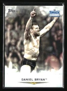 Daniel Bryan 2020 Topps Smack Down #34 Wrestling Card - Picture 1 of 2