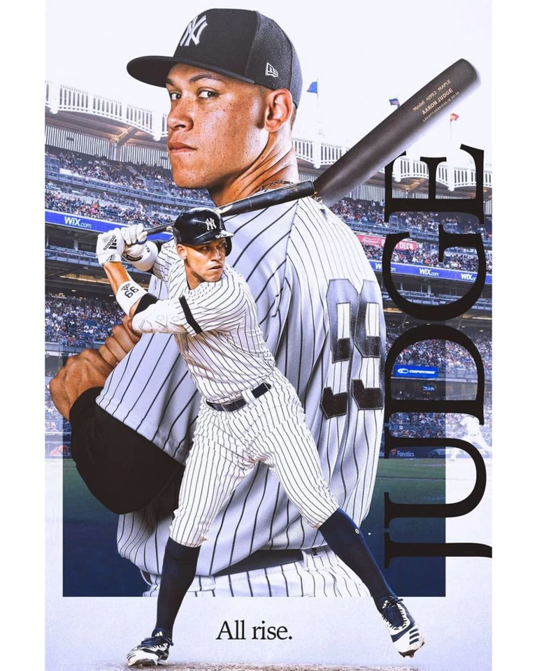 Aaron Judge New York Yankees WORLD SERIES MLB 8x10 photo  - Image 1 of 1