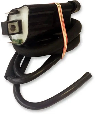 Bobina de encendido eléctrica Rick's Honda Interceptor 800 98-01 Foto 1 de 4