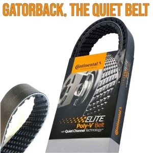 NEW 4070750 Serpentine Belt-Multi-V Continental Elite - Picture 1 of 2