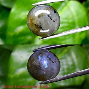 21.55ct 16mm Round Cabochon Natural Rainbow With Luster Labradorite Gemstone - Picture 1 of 6