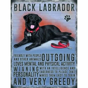 Schwarzer Labrador Kühlschrankmagnet (og) - Bild 1 von 1