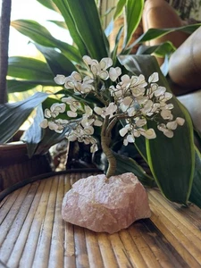 Rosenquarz rosa Kristall Edelstein Lebensbaum Feng Shui Bonsai poliert Herz Stein - Bild 1 von 10