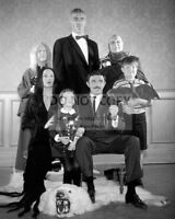 "ALL IN THE FAMILY" CAST FROM THE CBS TV PROGRAM ZZ-465 8X10 PUBLICITY PHOTO 