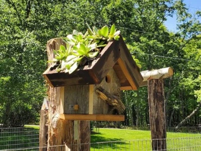 Rustic Hanging Wood Birdhouse & Planter – Reclaimed Barn Wood – Garden Decor - Image 1 of 4
