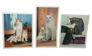 Walter Chandoha Cat Photography Puss 'N Boots Ad Prints - Set of 3 - Picture 1 of 13