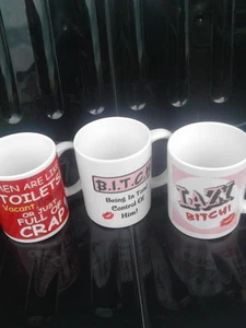 rude message mug. office fun, novelty mugs. tea coffee break. bitch mugs - Picture 1 of 7
