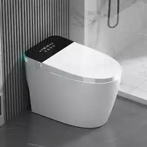 Smart Toilet for bathrooms, smart bidet Auto Open/Close Lid with Bidet Built In - Picture 1 of 6