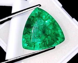 Trillion Shape Natural Emerald 10.20 Ct Certified Loose Gemstone With Free Gift - Picture 1 of 6