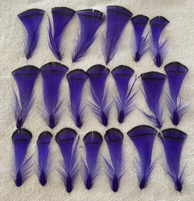 Pheasant Lady Amherst Feathers - Body Plumage Bright Purple 20 pcs upto 4” - Image 1 of 4