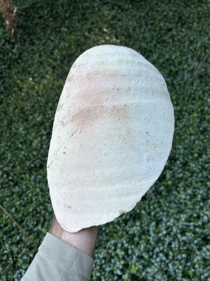 Artefacto de cerámica del naufragio de Atocha Mel Fisher Treasure para fanáticos de la flota 1715 Foto 1 de 4