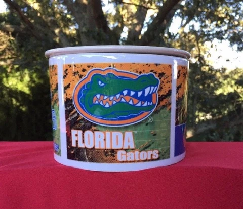 University of FLORIDA GATORS The SWAMP Dip Serving Bowl Tailgate Party Football Cover