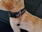 New Orleans Saints Adjustable Dog Collar Small with removable Tag