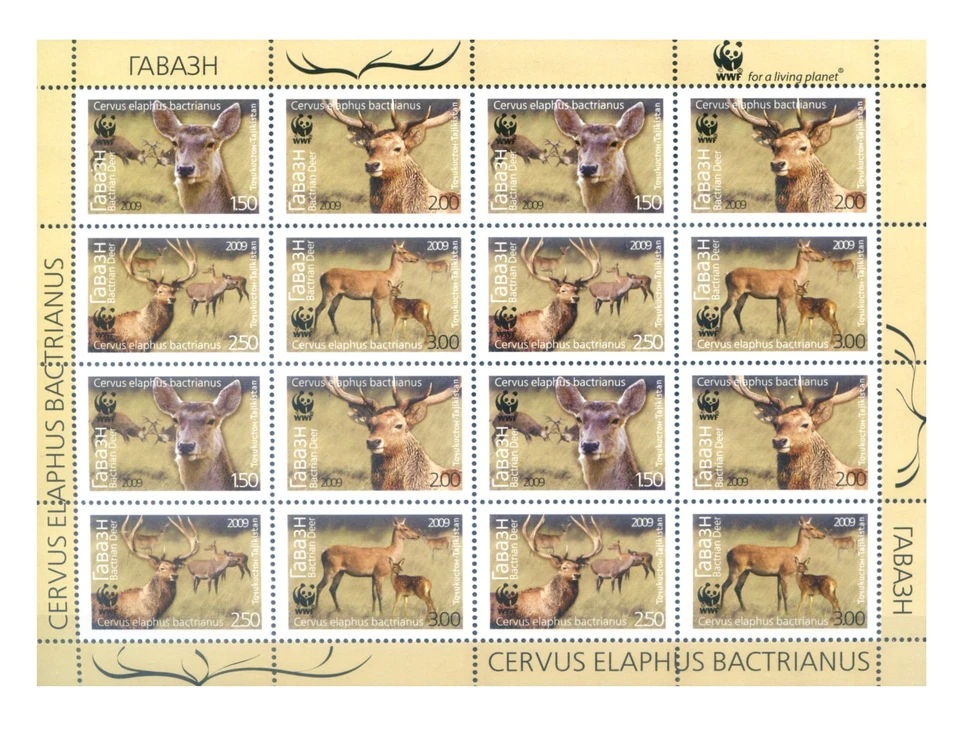 Tayikistán. Fauna. Ciervos 2009. WWF. Minifoglio. Foto 1 de 1
