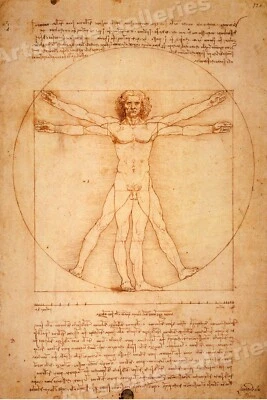 Leonardo da Vinci Vitruvian Man 1490 Historic Italian Art Poster Print - 24x36