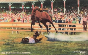 Earl West Thrown from Bluebonnet Rodeo Vintage Unposted PC - Bild 1 von 2