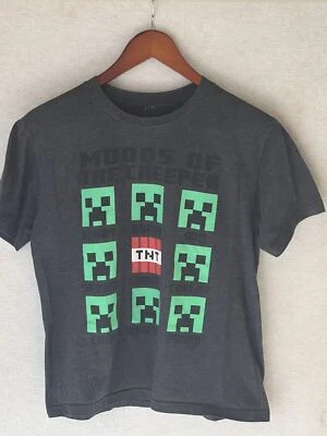 Official Boys Minecraft Characters Group Tee T-Shirt Creeper Steve Size Large - Image 1 of 4