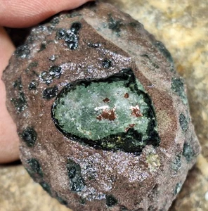 Polierter Kupferachat Knötchen in Basalt - Michigan Kupfermine Keweenaw - Bild 1 von 16