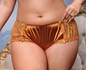 Glossy Silky 2nd Skin Satin Embroidery Bikini Brief Panties Knickers PLUS 4X NEW - Picture 1 of 5