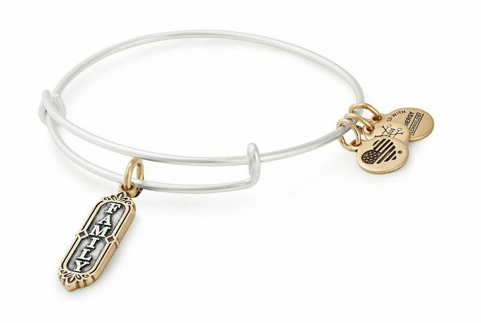 ALEX AND ANI Family Women's Charm Bangle Bracelet - Rafaelian Silver