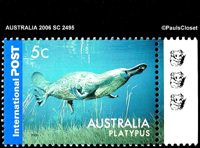 AUSTRALIA 2006 SC 2495 - 5¢ ORNITORRINCO COMO NUEVO NUNCA ARTICULADO GOMA ORIGINAL MUY FINA Foto 1 de 2