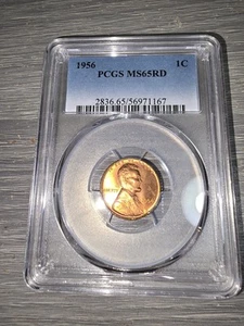 Lincoln Wheat Cent 1956 PCGS MS65RD - Picture 1 of 2
