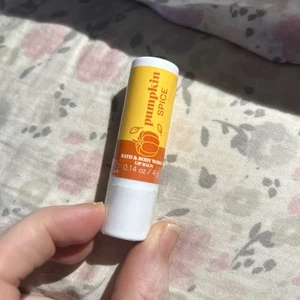 Bath & Body Works LIPPENBALSAM Pumpkin Spice 0,14 flüssige Unzen NEU versiegelt - Bild 1 von 23