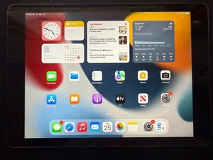 Apple iPad Air 2 16GB, Wi-Fi + Cellular (Unlocked), 9.7in - Space Grey - Picture 1 of 19