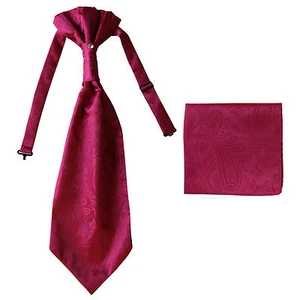 New men's polyester ASCOT cravat neck tie & hankie set Hot Pink Paisley prom - Picture 1 of 2