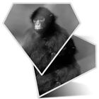 2 x Diamond Stickers 10 cm BW - Black Faced Spider Monkey  #37315