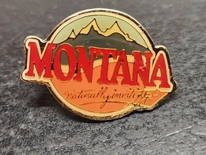 Pin de solapa Montana vintage "naturalmente atractivo" por Pin Works - Imagen 1 de 5