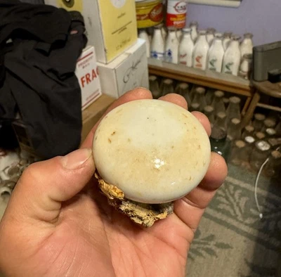 古董白色釉面瓷门把手 19 世纪 90 年代转储挖掘回收救助旧 — 第 1/4 张图片