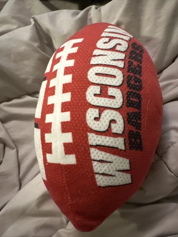 plush Wisconsin badgers football Cover