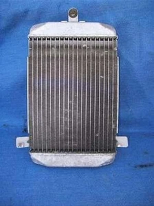 03 Burgman 400 Radiator w/ Temp Sensor SLIGHTLY BENT 04 05 06 AN400 AN OEM #84 - Bild 1 von 1