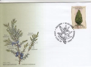 ESTONIA 2025 - Estonian forest trees- common Juniper  FDC (10.04.2025) - Picture 1 of 1
