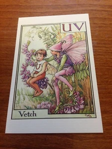 Cicely Mary Barker Flower Fairy Postcard - Vetch Fairy - NEW - Picture 1 of 1