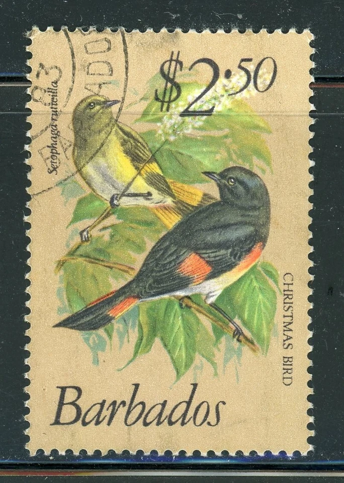 巴巴多斯 509 SG636 二手 1979 - 81 $2.50 鸟类最终圣诞鸟 CV6 美元 — 第 1/1 张图片