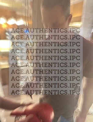 WLADIMIR KLITSCHKO HANDSIGNIERTER BOXHANDSCHUH + EXAKTER NACHWEIS - Bild 1 von 2