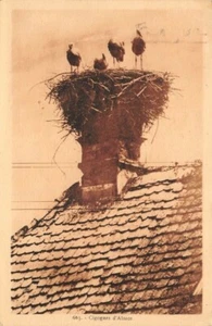 Storks of Alsace - Picture 1 of 2